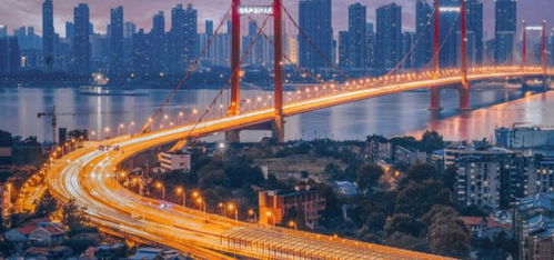 疫區(qū)擺渡人 再也沒進過孩子房間 他求抱抱我卻不能