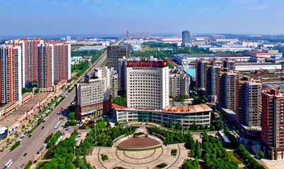 武漢市新洲區人民政府土地征收公告 陽邏邱栗村被征收0.5233公頃