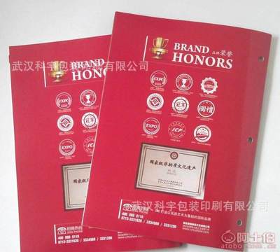 【廠家免費專業(yè)設(shè)計印刷企業(yè)宣傳冊、產(chǎn)品畫冊、說明書