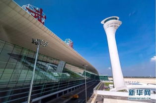 武漢，網紅城市的魅力正在綻放